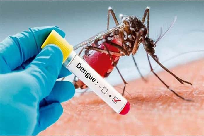 Habemus dengue: confirmaron dos casos de dengue en San Juan