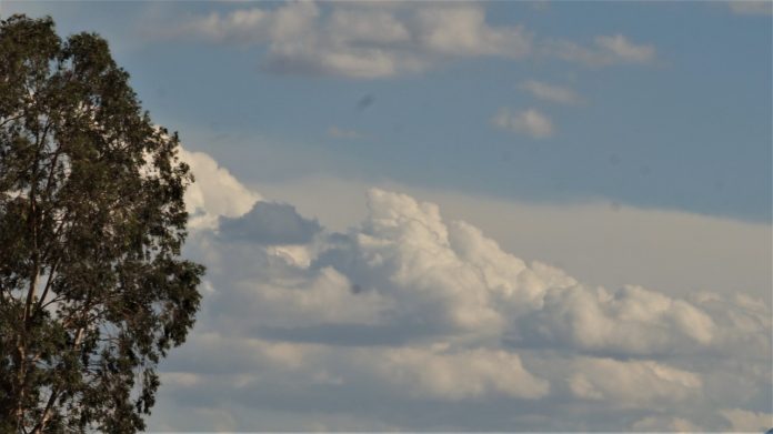 Clima: ¿Cómo estará el tiempo este viernes 24 de marzo?