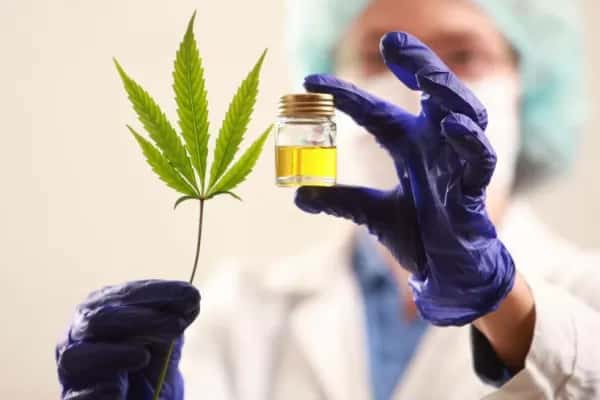 El Gobierno lanzó de manera oficial la Agencia Nacional de Cannabis
