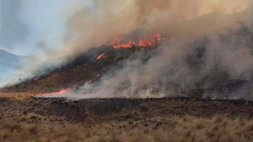 El incendio en Valle Fértil arrasó con 12.000 hectáreas