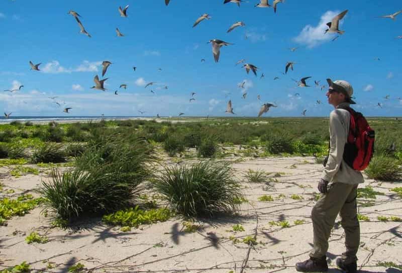 San Juan será parte del censo mundial de aves