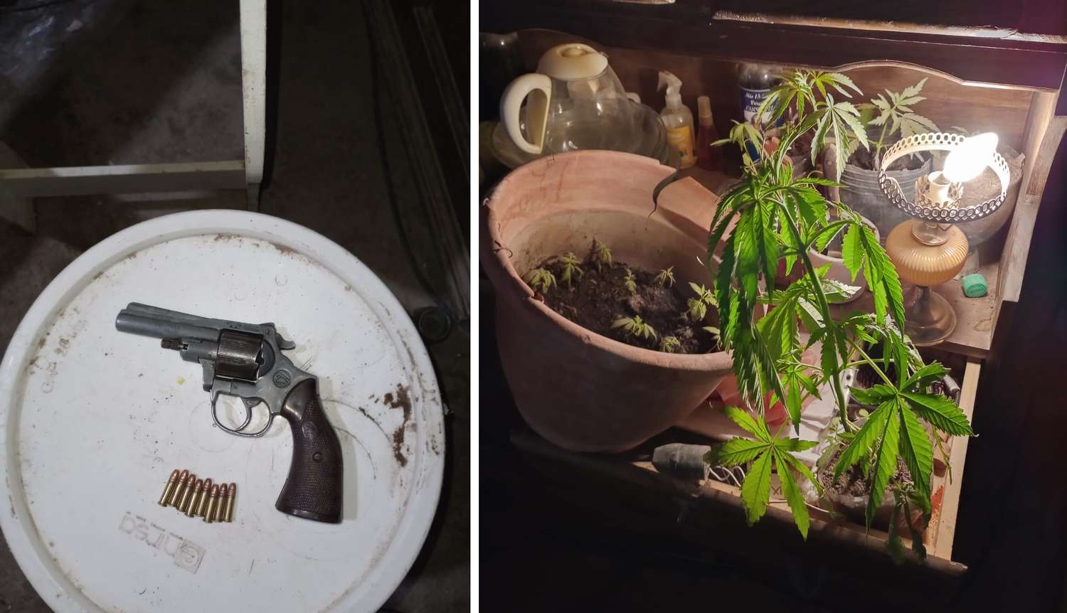 Allanamiento en Chimbas: secuestraron un arma, plantines de marihuana y objetos robados