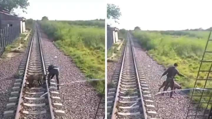 El milagroso rescate de un perro al que dejaron atado en las vías del tren