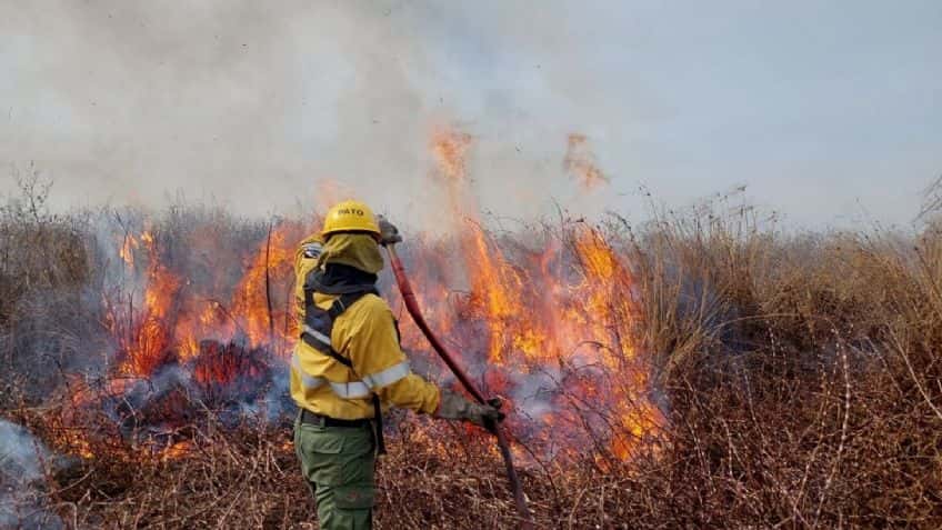 Continúan los incendios en Tierra del Fuego y declaran zona de desastre