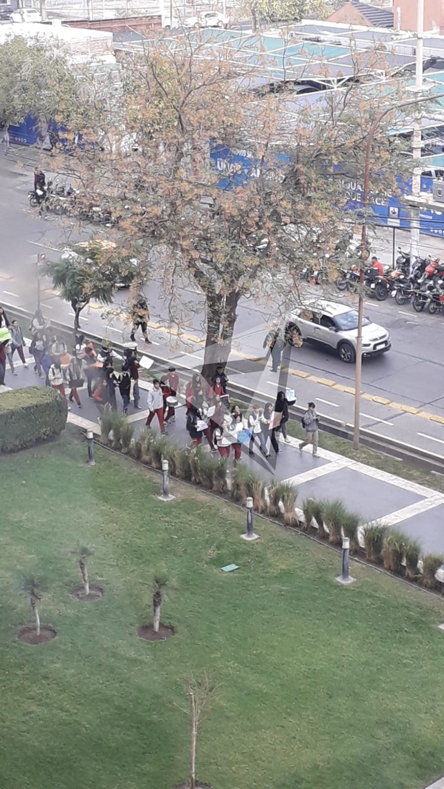 marcha colegio lujan - 1