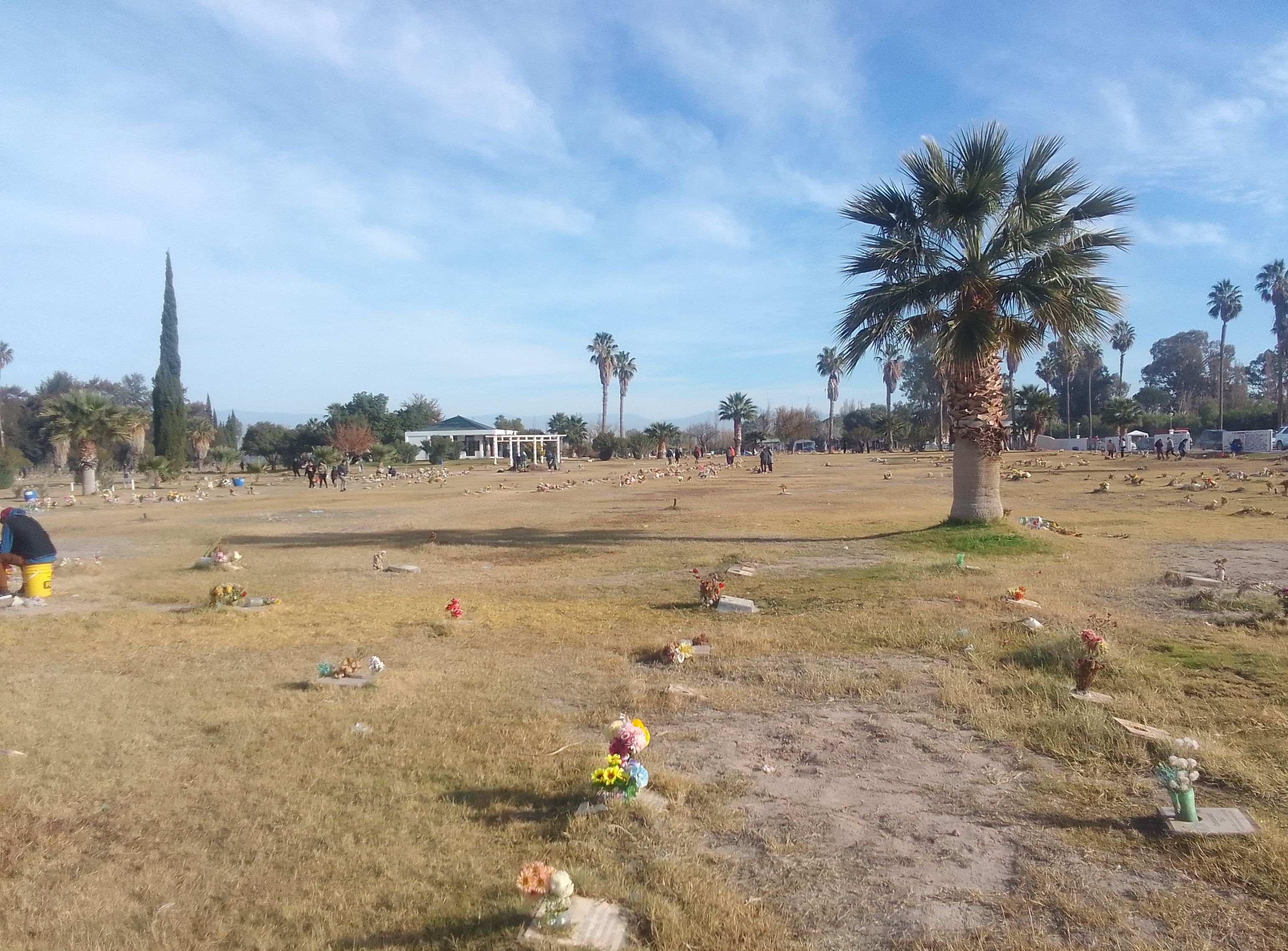 Cementerio El Palmar